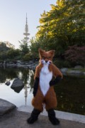 Eurofurence 27