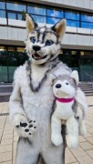 Eurofurence 29