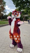 Eurofurence 29