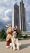 Eurofurence 29