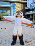 Eurofurence 29