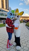 Eurofurence 29
