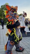 Eurofurence 29
