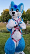 Eurofurence 29