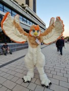 Eurofurence 29