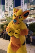 Eurofurence 29