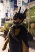 Eurofurence 29