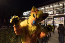 Eurofurence 29