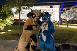 Eurofurence 29