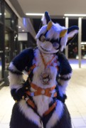 Eurofurence 29