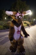 Eurofurence 29