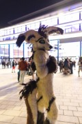Eurofurence 29