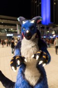 Eurofurence 29