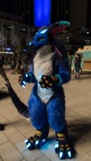 Eurofurence 29