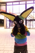 Eurofurence 29