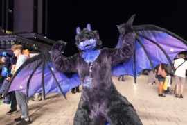 Eurofurence 29