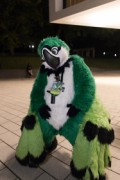Eurofurence 29