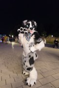 Eurofurence 29
