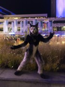 Eurofurence 29