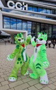 Eurofurence 29