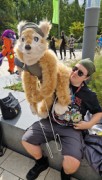 Eurofurence 29
