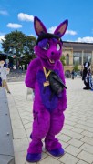 Eurofurence 29