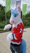 Eurofurence 29