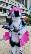 Eurofurence 29