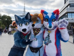 Eurofurence 29