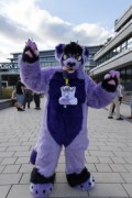 Eurofurence 29