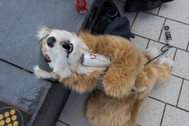 Eurofurence 29