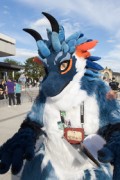 Eurofurence 29