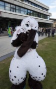 Eurofurence 29