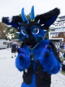 Eurofurence 29