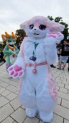 Eurofurence 29