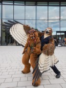 Eurofurence 29