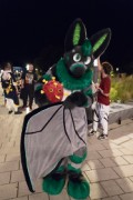 Eurofurence 29
