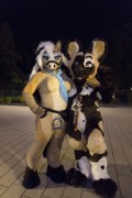 Eurofurence 29