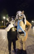 Eurofurence 29
