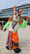 Eurofurence 29