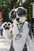 Eurofurence 29