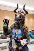 Eurofurence 29