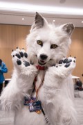 Eurofurence 29