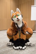 Eurofurence 29