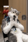 Eurofurence 29