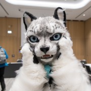 Eurofurence 29