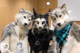 Eurofurence 29