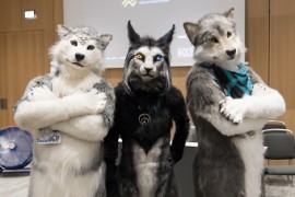 Eurofurence 29