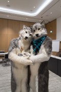 Eurofurence 29