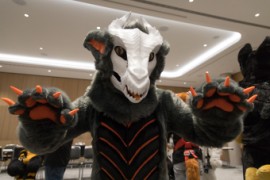 Eurofurence 29